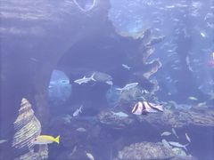 -多彩贵州城极地海洋世界