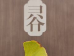 -灵谷景区