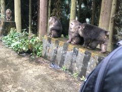 -九峰山