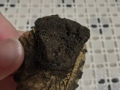 奥利奥蛋糕仔仔-好利来(欧亚商都店)