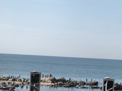 -老虎石海上公园