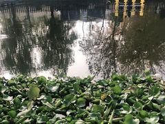 -酷鱼垂钓CLUB(朝阳区博大路店 )