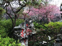 -杭州植物园