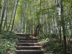 -南山风景名胜区