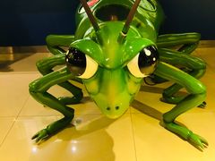 -上海昆虫博物馆