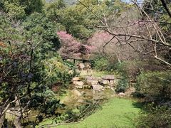 -杭州半山国家森林公园