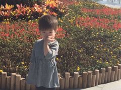 -武清南湖绿博园