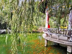 -大悲禅寺