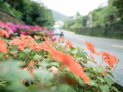 -深圳东部华侨城茵特拉根酒店