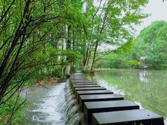 -桤木河湿地公园