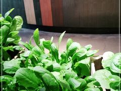 -番食园鲜食火锅(高新店)