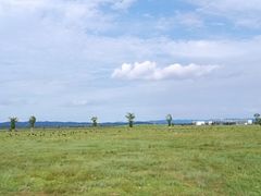 -敕勒川草原