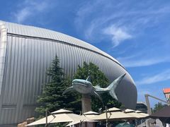 -烟台海昌鲸鲨海洋公园