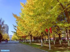 -辽东学院(南校区)