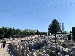 -原山国家森林公园