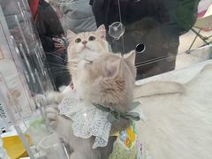 -万达广场(太原街店)