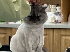 -佑安动物医院·全科·内窥镜中心(幸福巷店)