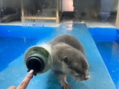 -大连圣亚海洋世界