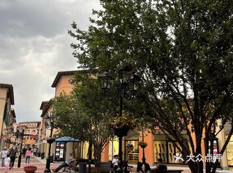 驱车来到佛罗伦萨小镇 这是第二次前往了 因为交通的便