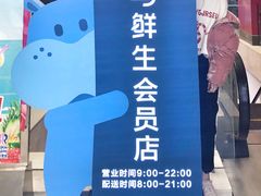-盒马鲜生(大成店)