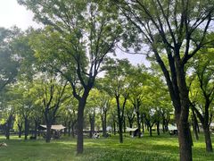 -洨河生态公园