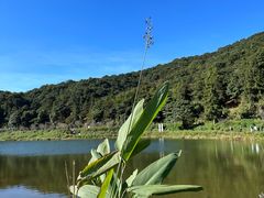 -广州市石门国家森林公园