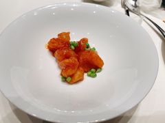 -诺莱仕游艇会