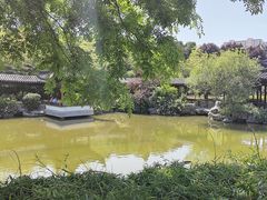 -花洲书院