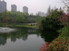 -重庆彩云湖湿地公园