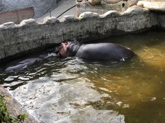 -宁波野生动物园