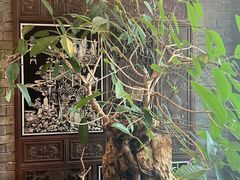 -鸢飞潍坊菜馆(鸢飞大酒店)