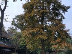 -天目湖御水温泉·度假酒店