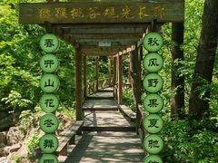 -大岭沟猕猴桃谷风景区