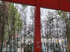 -向外鱼乐·土菜·虹鳟鱼
