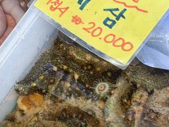 -西归浦每天偶来市场