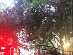 -正宗天津烧麦馆(柳州路店)