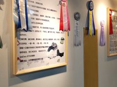 -猫十亿·布偶金渐层·曼基康矮脚猫舍(青年路店)