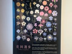 -四川大学博物馆