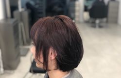-Y-STUDIO原理