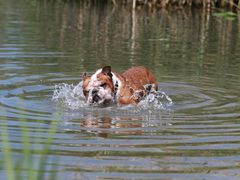 -永定河休闲森林公园