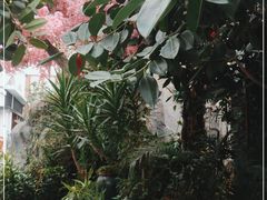 -滕头生态酒店(奉化店)