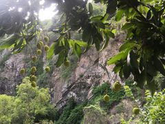 -凤凰山公园-龙王古庙