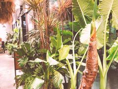 -胡桃里音乐酒馆(四道口店)