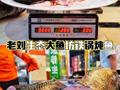-老刘生态大鱼坊铁锅炖鱼(赛马场店)