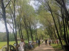 -高尔山公园