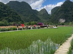 -靖西鹅泉风景区