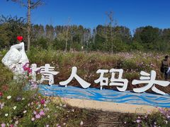 -东郊湿地公园