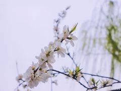 -三里河公园
