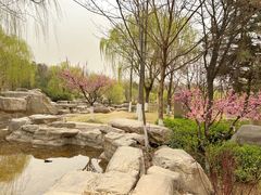 -鹦鹉寺公园