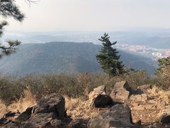 -惠山国家森林公园